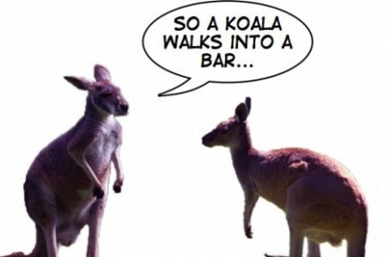 “Um, I don’t get it”: Deciphering Aussie humour