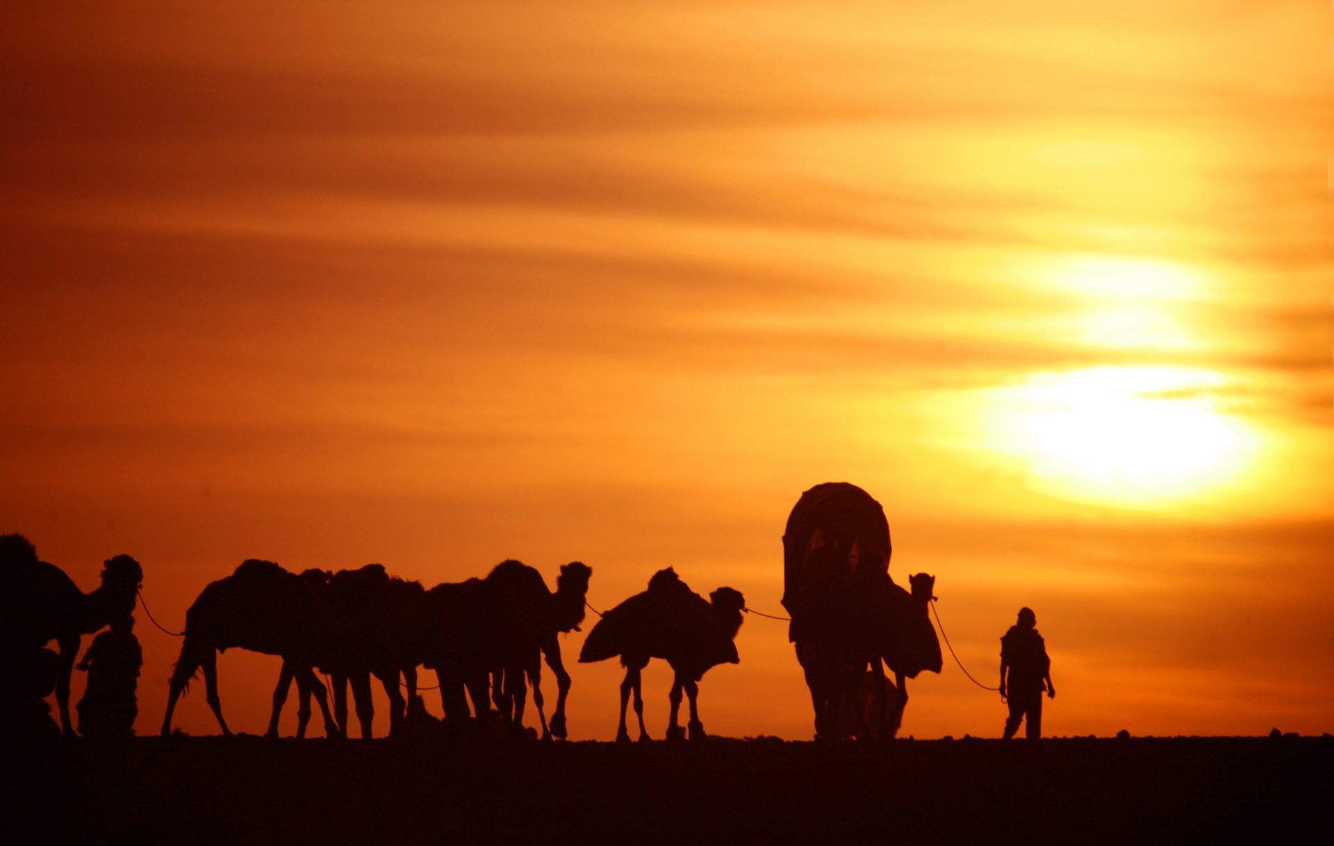 Caravan at sunset from Journey to Mecca, SK Films