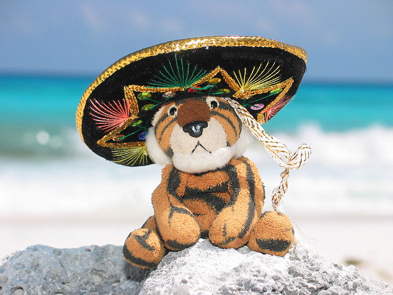800px-Stuffed_tiger_wearing_a_sombrero