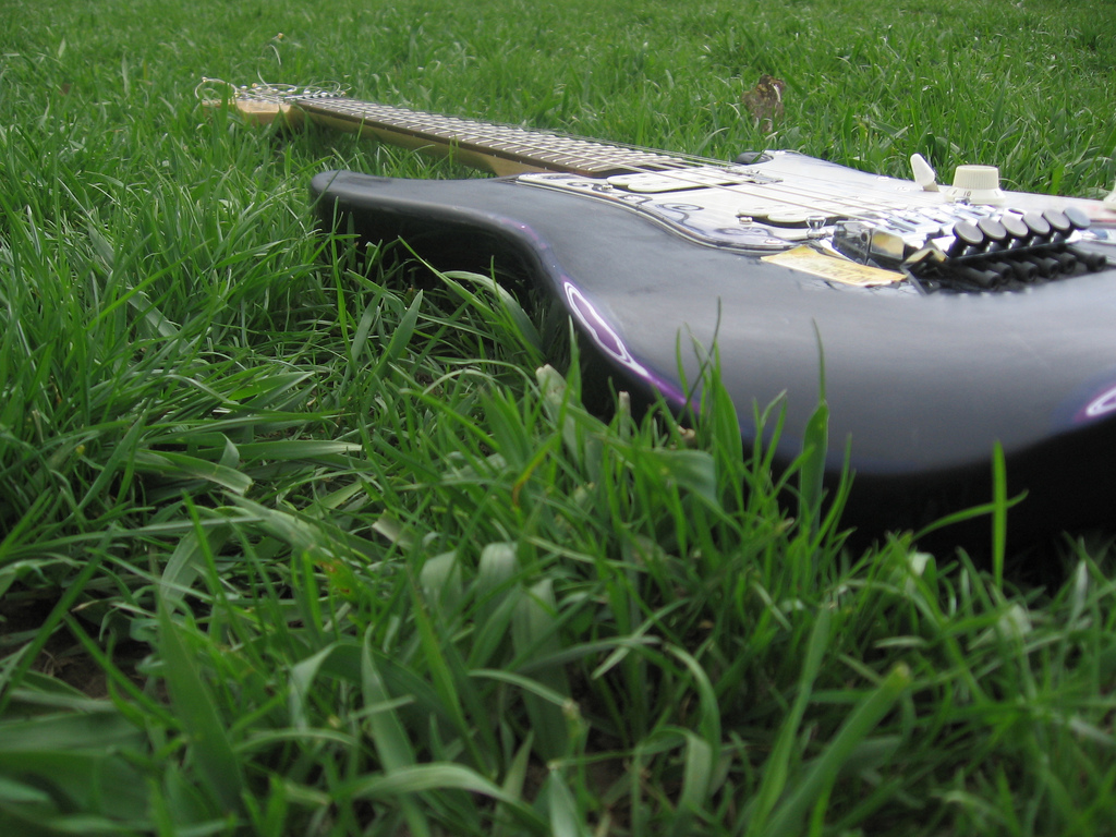 Guitar in grass. Photo Tykey Turkey.