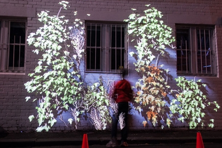 Everything is Illuminated: Gertrude Street Projection Festival 2013