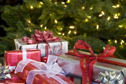 Entertainment Christmas gift ideas for the picky