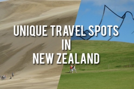 Quirky and off the beaten path: Unique travel spots in New Zealand