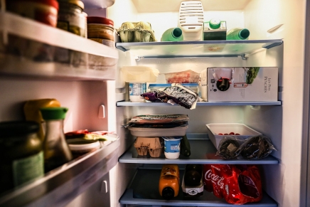 What the state of your fridge says about you