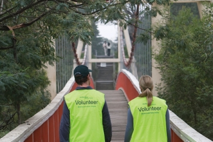 The benefits behind volunteering and how you can help